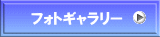フォトギャラリー 
